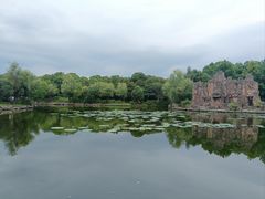 -紫薇公园