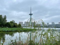 -聚龙湖公园