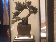 -望湘园·洞庭渔宴(浦江欢乐颂店)
