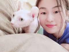 -飞行喵MR PILOT|猫舍·猫咖(静安大融城店)