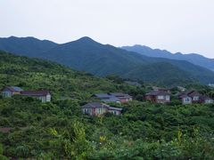 -杨梅坑