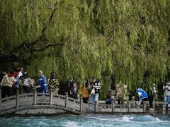 -百脉泉景区