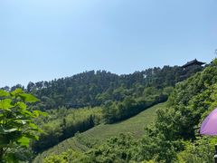 -敬亭山风景名胜区