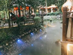 -二荆条·蜀鲜汇城市森林火锅