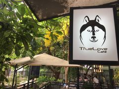 -TrueLove @ Neverland (Husky Cafe)