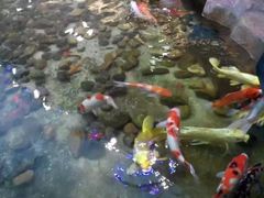 -鸿通城购物中心