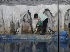 -太平洋海底世界