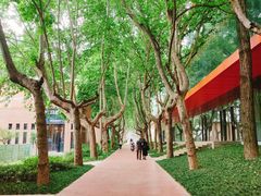 -西安电影制片厂