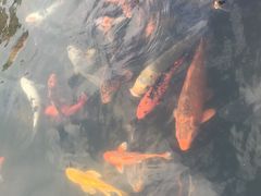 -星巴克(绍兴柯桥柯岩景区店)