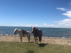 -青海湖国家重点风景名胜区