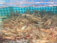 -三亚相缘海鲜·烧烤·糟粕醋(三亚湾店)