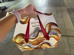 -哈根达斯(深圳海岸城店)