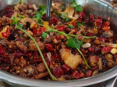-食神又名厕所兔