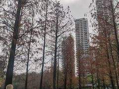 -映月湖公园
