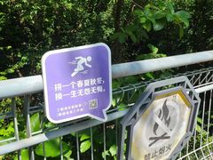 -佛山华盖山公园