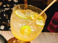 -毛辣果·酸(OHA复兴西路店)