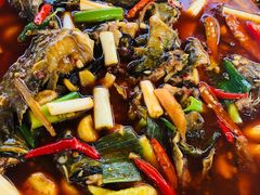 -高坎一品甲鱼庄(两河店)