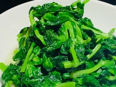 五粮液嫩豆苗-玫瑰厅上海菜(兴国路店)