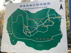 -北京鹫峰国家森林公园