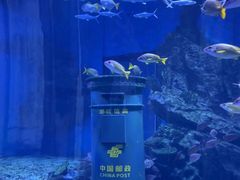 -海合安武汉极地海洋公园