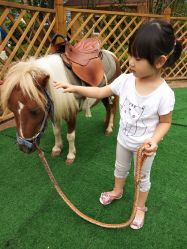 -萌宠亲子动物乐园(槐房万达店)