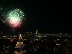 -台场海滨公园船码头