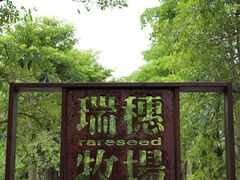-瑞穗牧场
