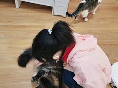 -COLOR PETS 撸猫馆·购猫·猫咖(长风大悦城店)