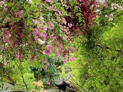 -深圳国际园林花卉博览园