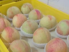 -老袁家蜜桃农场·阳山水蜜桃