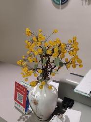 -北京楚诺医疗美容