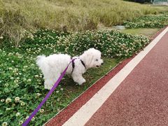 -白鹭湾湿地公园