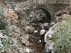 -东天目山风景区