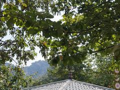 -巨石山景区