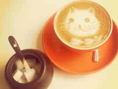 Anne猫窝咖啡屋-Anne猫窝咖啡屋