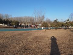-马家湾湿地公园