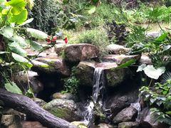 -龙山酒店温泉