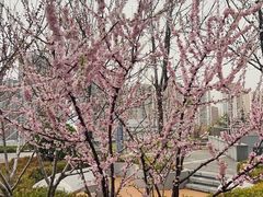 -好利来(旅顺世达店)