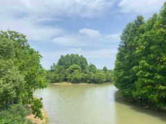 -上海海湾国家森林公园