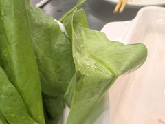 -楼外楼大刀肉传统火锅居(幸福街店)