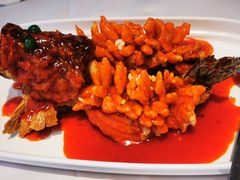 -松鹤楼(狮山永利广场店)