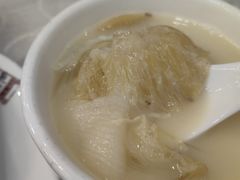 鸡煲特大鲍翅-凤城礼记鱼翅海鲜酒家(新马路总店)