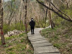 -白草畔自然风景区