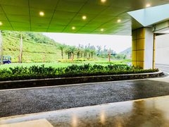 -东澳岛