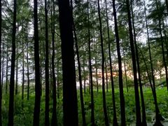 -云龙湖旅游景区