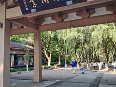 -柳浪闻莺公园