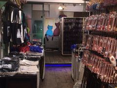 -猫咪博物馆(顶澳仔猫街店)