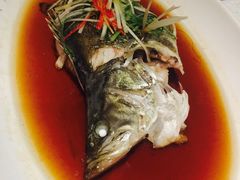 -老人和饭店(打浦路店)