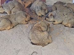 -南戴河国际娱乐中心