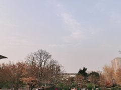 -丰台花园